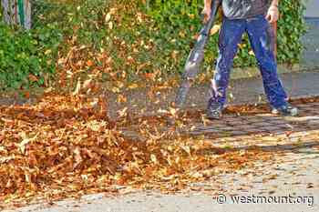 Leaf blowers prohibited as of December 1st - City of Westmount - Ville de Westmount