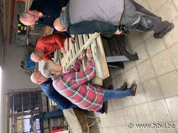 Kerstbomen op Brikhof (Borgloon) - Het Belang van Limburg Mobile - Het Belang van Limburg