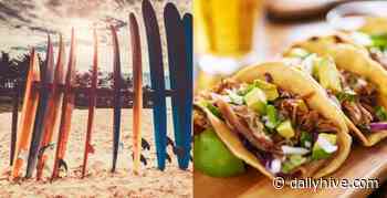 Surfy Surfy: A new taco restaurant is opening soon in Calgary | Dished - Daily Hive