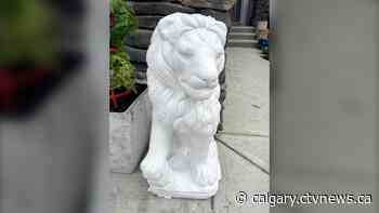 Calgary family pleads for return of treasured lion statues stolen from northwest home - CTV News Calgary