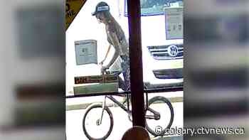 Police seek potential witness in northeast Calgary homicide - CTV News Calgary