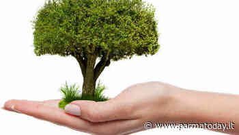 Festa dell’Albero 2021 a Parma 19, 20 e 21 novembre - ParmaToday