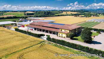 La giapponese Mitsui acquisisce la Isi Sementi di Fidenza - Gazzetta di Parma