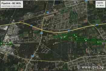 NMP rooit bomen en struiken boven pijpleiding in Gompel, Rauw en Wezel - Gazet van Antwerpen