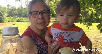 Family searches for answers in toddler’s suspicious death in Calgary - Globalnews.ca