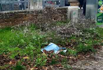 Grottaferrata | Nei pressi della scuola media "Zampieri" rifiuti, escrementi ed erba alta - ilmamilio.it - L'informazione dei Castelli romani