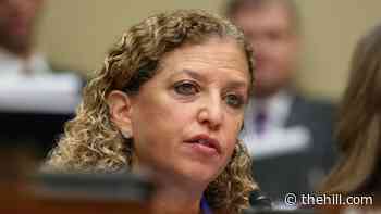House Democrats seek answers after Florida professors' testimony briefly blocked