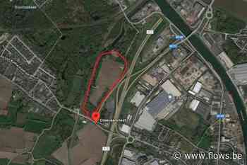 Intervest ontwikkelt 16 ha logistieke gronden in Puurs langs A12 - Flows