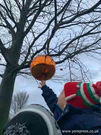 Christmas arrives at Sutton Park National Park Centre | York Press - York Press