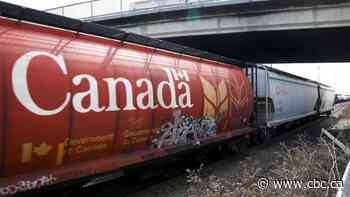 Tonnes of Manitoba grain sitting on trains after B.C. flooding cuts off rail lines