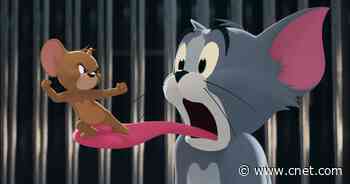 Tom and Jerry fans surprised by cartoon cat and mouse's real names     - CNET