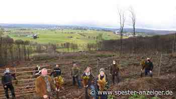 Bürgerstiftung freut sich über Kastanienwald mit Hirschberg-Blick - Soester Anzeiger