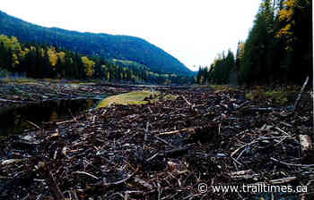 Wildlife advocates sound alarm over Trail dam decommissioning and land remediation – Trail Daily Times - Trail Times