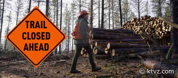 Logging, brush removal prompt new weekday closures in Phil's Trail area west of Bend - KTVZ