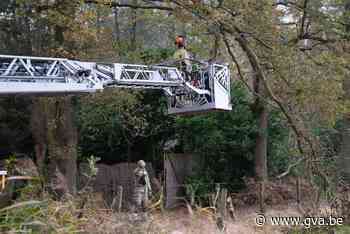 Trucker rijdt tak af, brandweer komt gevaarte uit elektriciteitskabels halen - Gazet van Antwerpen
