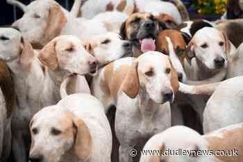 Natural Resources Wales bans trail hunting on its land - Dudley News