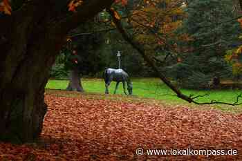 Herbstspaziergang durch den Hügelpark: Im "Garten" der Krupps - Lokalkompass.de