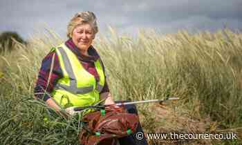 Deposit return scheme delay demoralises litter pickers in Angus and Fife - The Courier