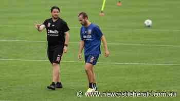 Newcastle Jets midfielder Angus Thurgate primed for A-League season - Newcastle Herald