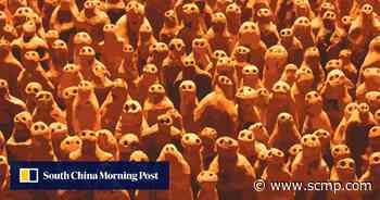 10 highlights of the opening shows at M+ museum in Hong Kong - South China Morning Post