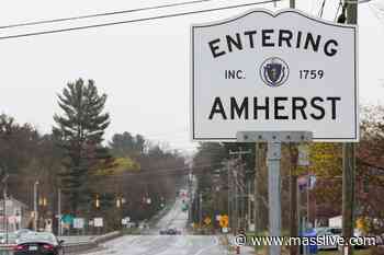 Hayley Bolton nominated for Amherst senior services director - masslive.com