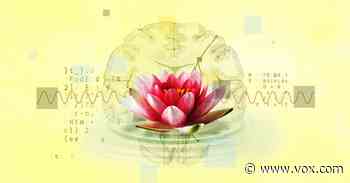 Technology Is Promising Boosts To Your Enlightenment