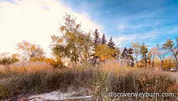 Weyburn Stands to Break Another Weather Record Today - DiscoverWeyburn.com