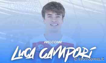 Basket, Luca Campori è la nuova guardia/ala della Pielle - Livorno Press