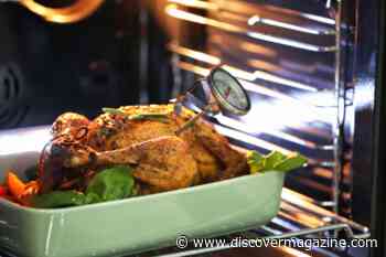 The Best Way to Cook a Turkey, According to Science