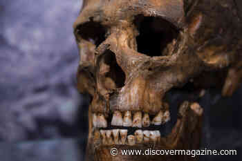 A Leading Theory Behind Neanderthal Extinction May Surprise You