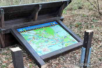 Riesa: Vandale treibt mit Säge sein Unwesen - Sächsische.de