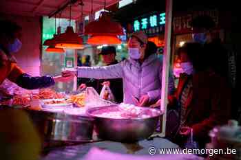 Live - ‘Verkoopster op dierenmarkt Wuhan was als eerste besmet met coronavirus’