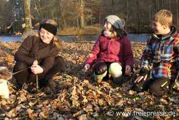 Bunte Blätter und fröhliche Hunde versöhnen mit ungemütlichem Monat - Freie Presse