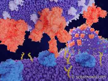 New COVID Threat: Rodents Could Be Asymptomatic Carriers of SARS-Like Coronaviruses