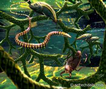Paleontologists Debunk “Snake With Four Legs” Fossil Thought To Be Missing Link