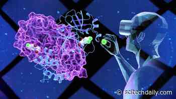 Scientists Go “Inside” the COVID-19 Viral Protein To Attack a Weak Point