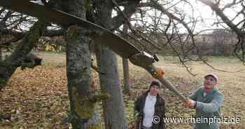 Deutscher Nachbarschaftspreis: Eh da-Initiative ausgezeichnet - Essingen - Rheinpfalz.de