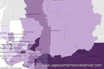 BCCDC: Rural Abbotsford, North Chilliwack most COVID-infected areas in Lower Mainland – Agassiz Harrison Observer - Agassiz Harrison Observer