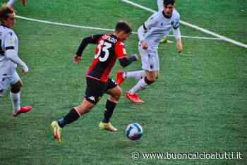 Genoa Primavera 1-2 Bologna: i Grifoncini sprecano, gli ospiti fanno lo scherzetto - Buon Calcio a Tutti