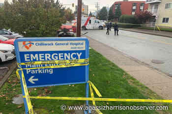 UPDATE: Stabbing victim crashes outside of Chilliwack General Hospital while driving to ER – Agassiz Harrison Observer - Agassiz Harrison Observer