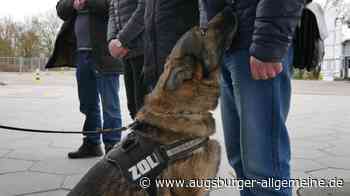 Im ICE nach Ulm: Zoll-Hund "Vicky" spürt Rauschgift bei 34-Jährigem auf - Augsburger Allgemeine
