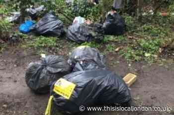 Epping and Wanstead fly-tippers fined £4,000 amid rise in illegal dumping