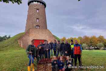 Driescomité plant 8.000 bloembollen: “Prachtig resultaat rond Pasen” - Het Nieuwsblad