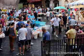 Dalla “Vanniata” al “Cutiddazzu”: le tradizioni della “Piscaria” di Cat... - Liveunict | Magazine sull'Università di Catania