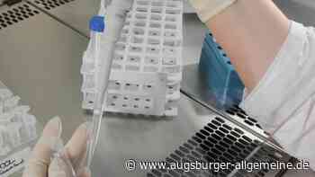 Corona: Inzidenz im Wittelsbacher Land bleibt unter 600 - Augsburger Allgemeine