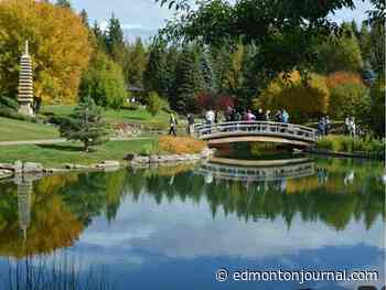 Growing Things: Give the gift of growing things