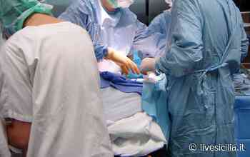 Catania, muore per aneurisma: prelevati fegato, reni e cornee - Live Sicilia