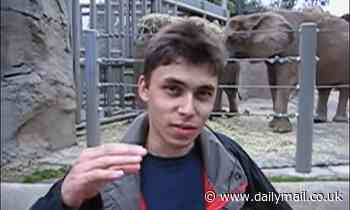 YouTube co-founder slams the platform's decision to remove dislikes