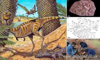 Fossils: Remains of a toothless, two-legged dinosaur from 70 million years ago discovered in Brazil 