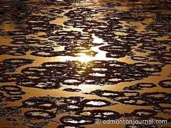 Edmonton weather: As the air chills the chunks of ice ride the river